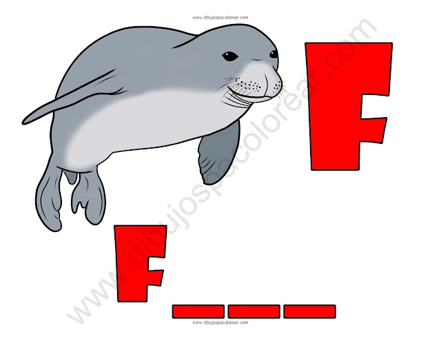 Foca letra F abecedario dibujo a color y para colorear